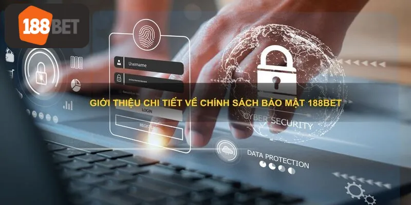 Lý do tại sao chính sách bảo mật lại quan trọng?